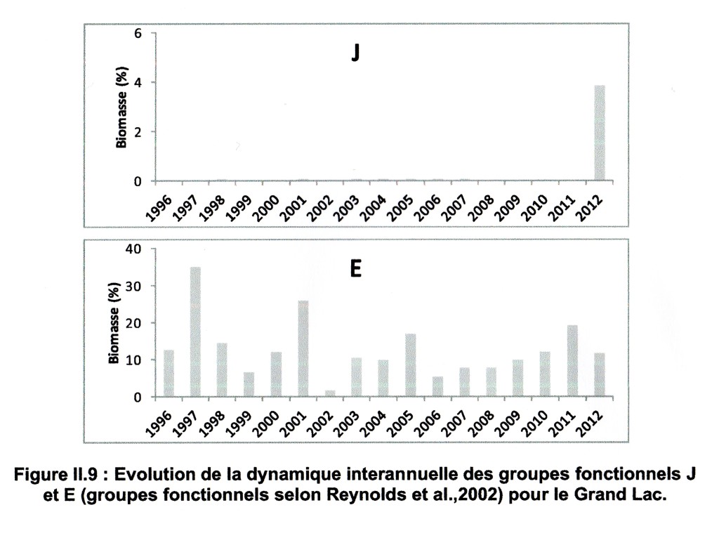 Groups E and J001