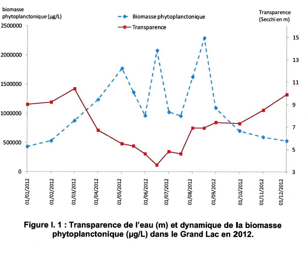 Transparency 2012001